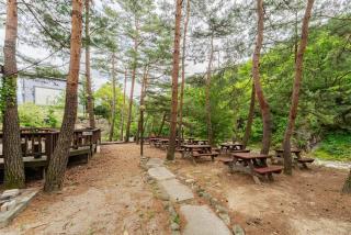 Sangol Story Pension - 2