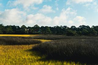 Elegant, Marsh-Front 5-Bed, 4-Bath Home, Sleeps 12 - Fripp Island - 9