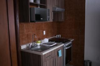 Moderno Departamento 2 Centro Historico - Modern Apartment 2 Downtown - San Luis Potosí - 4