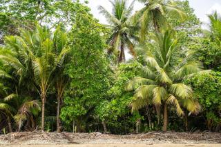 Casa Ballena with Beach Access and Private Pool - 1