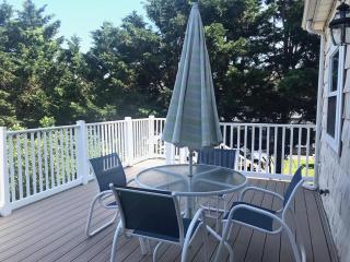 Jersey street 4 - Dewey Beach - 8