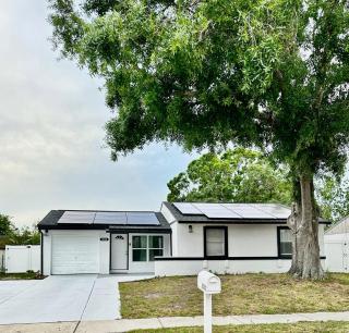 Family home near beaches and Tarpon Springs - Holiday - 3