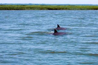 407 Ocean Point Lane - Fripp Island - 7