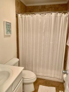 Ocean dunes 3 - Rehoboth Beach - 7