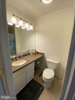 Ocean dunes 3 - Rehoboth Beach - 6