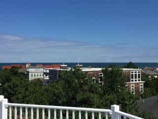 Mary avenue 101 - Rehoboth Beach - 9