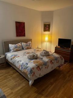 Cozy Spot Apartment - Mostar - 0