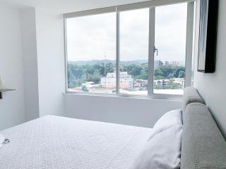Suites de lujo cerca del WORLD TRADE CENTER, Parking Gratis, GYM, PISCINA - Guayaquil - 2