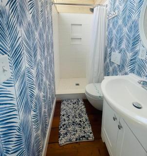 Carolina street 210 - Dewey Beach - 1