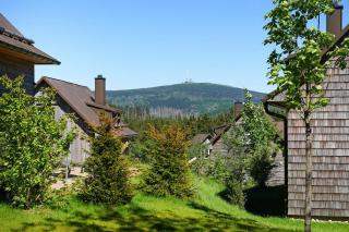 Chalet in Torfhaus with Sauna & National Park Views, cleaning included - Torfhaus - 8