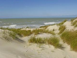 Apartment in Wyk near Beach Promenade, cleaning included - Wyk auf Föhr - 1