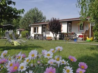 Holiday Park at Lake Plau with Wellness Oasis, cleaning included - Plau am See - 6