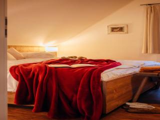 Ferienhaus in Schierke mit Garten, cleaning included - Schierke - 7