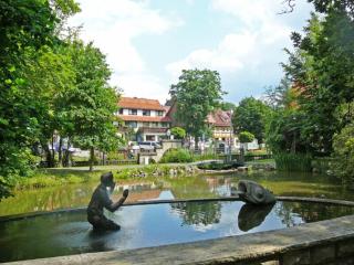Apartment in Bad Sachsa near Harz Mountains, cleaning included - Bad Sachsa - 5