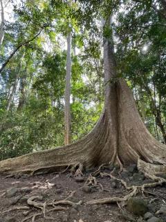 Thuy Tien Ecolodge - 8