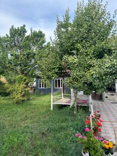 Elay Guest House - Kazarman - 6