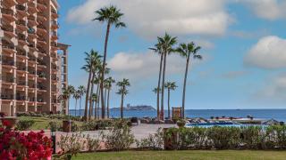 Sonoran Sea - Puerto Peñasco - 2