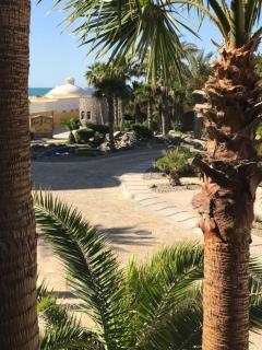 Bella Sirena - Puerto Peñasco - 1