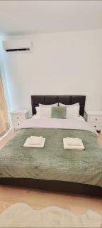 BW Queen Apartman 412-whit free garage parking - Belgrado - 3