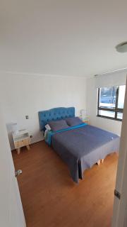 Aníbal Pinto Apartment 2D 2B - Concepción - 4