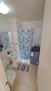 Aníbal Pinto Apartment 2D 2B - Concepción - 1