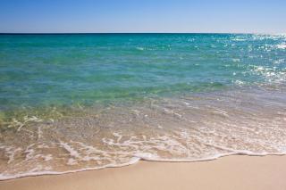 Watercrest 905 | Beachfront Bliss - 1
