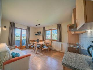 Apartment in Brixental near Hiking Trails, cleaning included - Brixen im Thale - 0