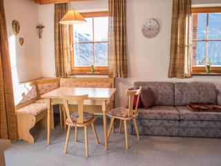 Apartment in Mittersill near KitzSki Lift, cleaning included - Mittersill - 7