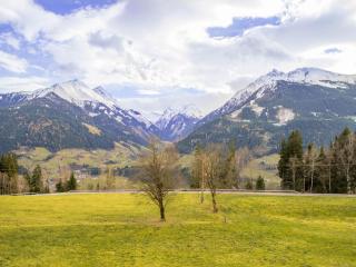 Apartment in Mittersill near KitzSki Lift, cleaning included - Mittersill - 1