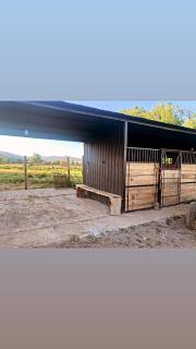 Loft industrial Colchagua - Santa Cruz - 8