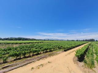 Loft industrial Colchagua - Santa Cruz - 6