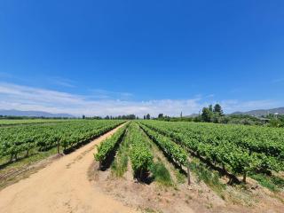 Loft industrial Colchagua - Santa Cruz - 5