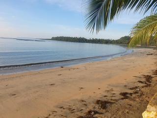 The White Beach - - 3