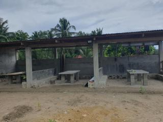 The White Beach - - 2