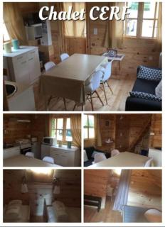 Chalet chaleureux - Cerf - Maisod - 7