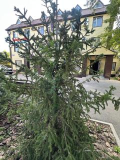 Belon Garden Hotel - Prigorodnyy - 6