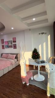 Pinky room - Hanoi - 1