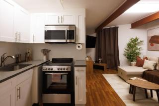 Modern Designer Unit in Dumbo NYC - Brooklyn - 2