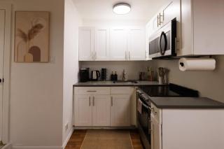 Modern Designer Unit in Dumbo NYC - Brooklyn - 1