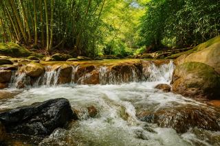 Rincón del colibrí/casa campestre/piscina/la vega - La Vega - 8