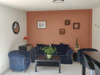 Lumineux T2, 4 pers, jardin privé, terrasse - Trélazé - 2