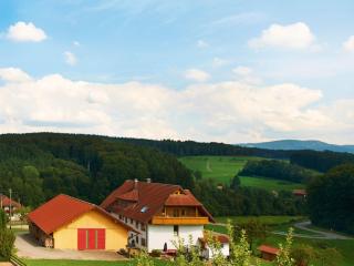 Pension Deutscher Hof - Oberbiederbach - 5