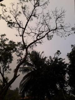 Villa Primrose Cottage - Galle - 8