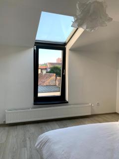 Beautiful Ultracentral Apartments - Cluj-Napoca - 6