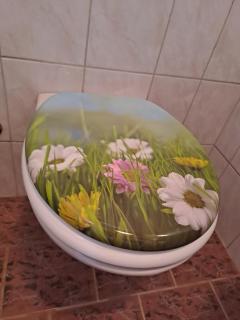 Ferienwohnung Felix-Adults Only - 9