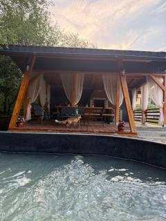 Julien House - Prisaca Dornei - 7