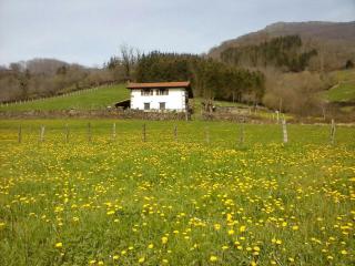 Alberroakoborda - Ituren - 6