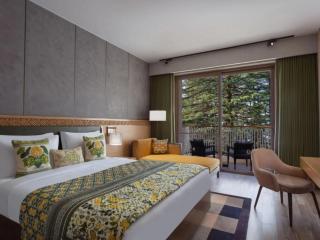 Hotel Nayasa Plaza A family Hotel -Delhi Airport - New Delhi - 1