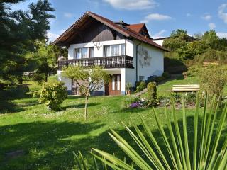 Holiday Home in Thuringian Forest near Lake - Schleusingen - 0