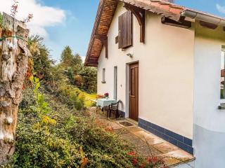 Holiday Home in Thuringian Forest near Lake - Schleusingen - 3